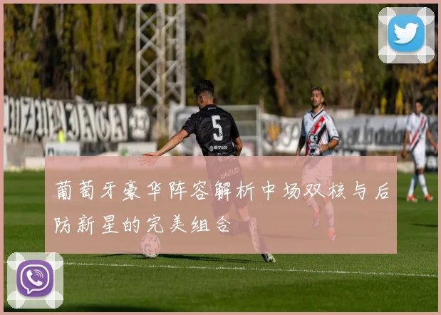 葡萄牙豪华阵容解析中场双核与后防新星的完美组合