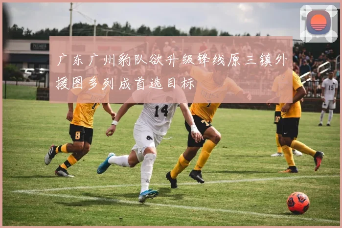 广东广州豹队欲升级锋线原三镇外援图多列成首选目标