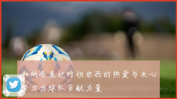 加纳乔表达对切尔西的热爱与决心努力为球队贡献力量