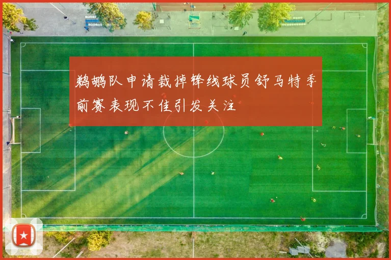 鹈鹕队申请裁掉锋线球员舒马特季前赛表现不佳引发关注